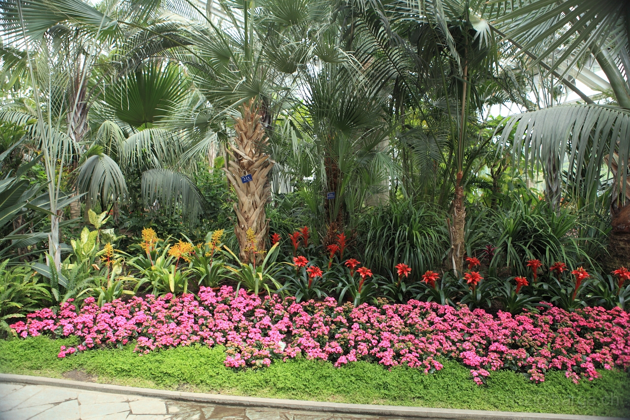 EOS 5D Mark II16_04_20134967.JPG